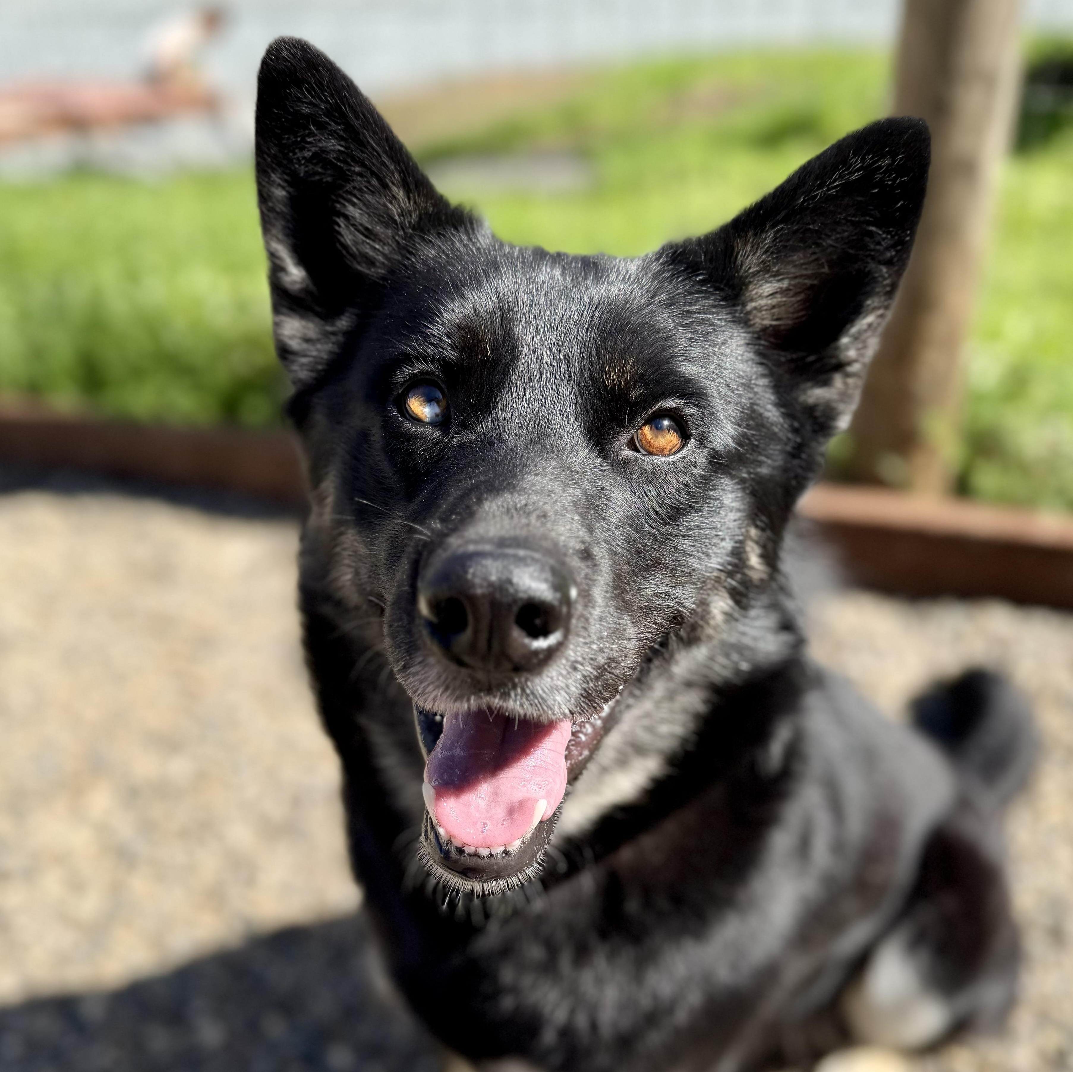 Pablo — thumbnail 5