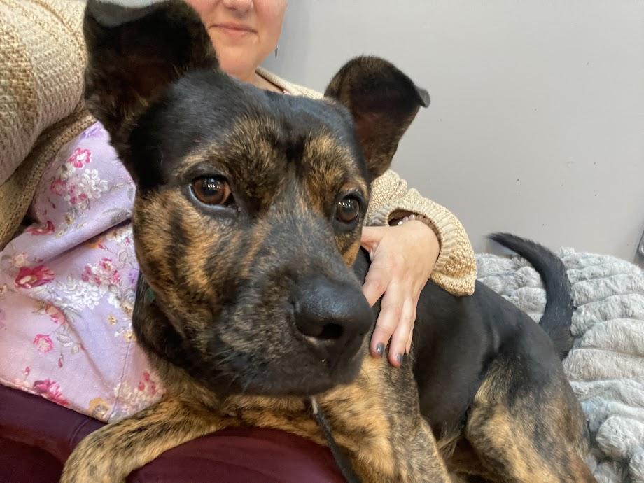 Pedro Cm thumbnail 6