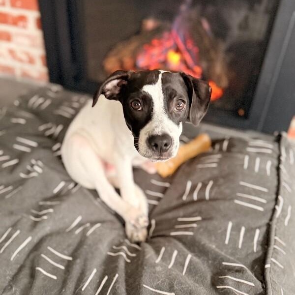 Kai Adorable — thumbnail 4