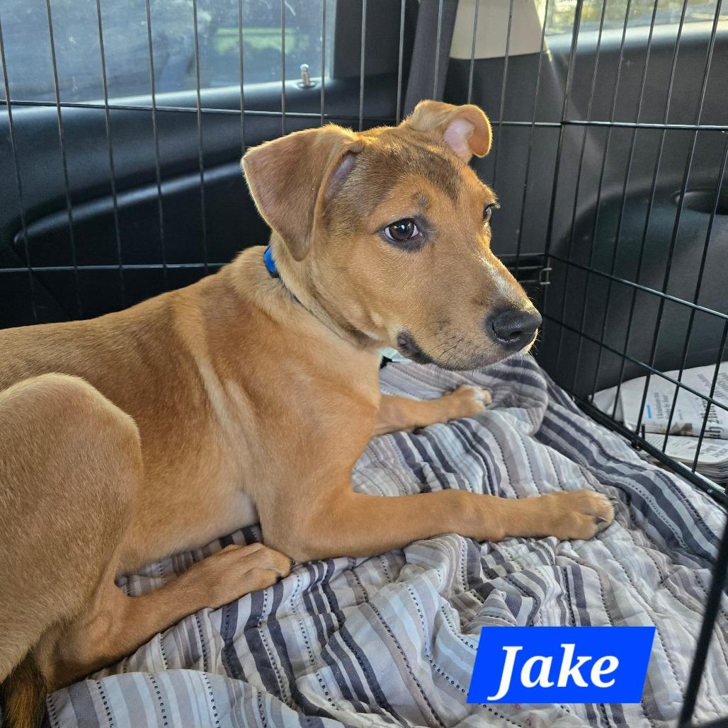 Jake — thumbnail 2