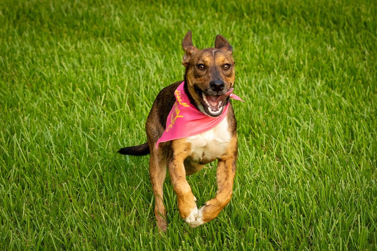 Maggie — thumbnail 3