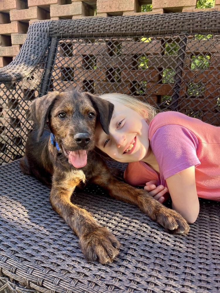 Tucker, a Adoptable mixed breed in Jackson, GA image 5/6
