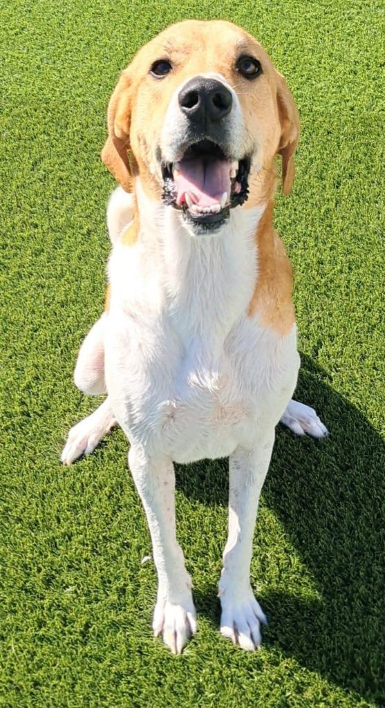 Josie (aka Josephine)