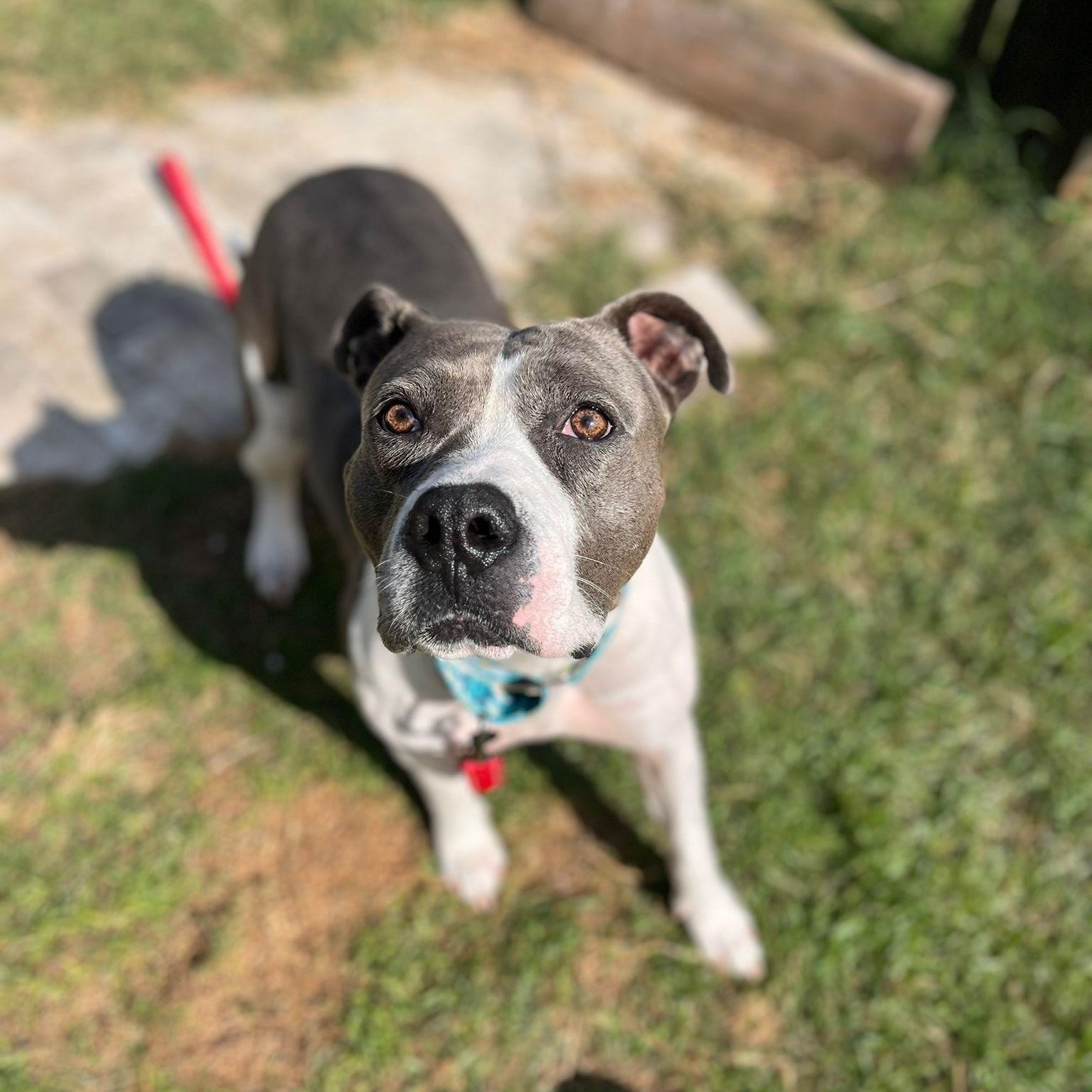 Sally