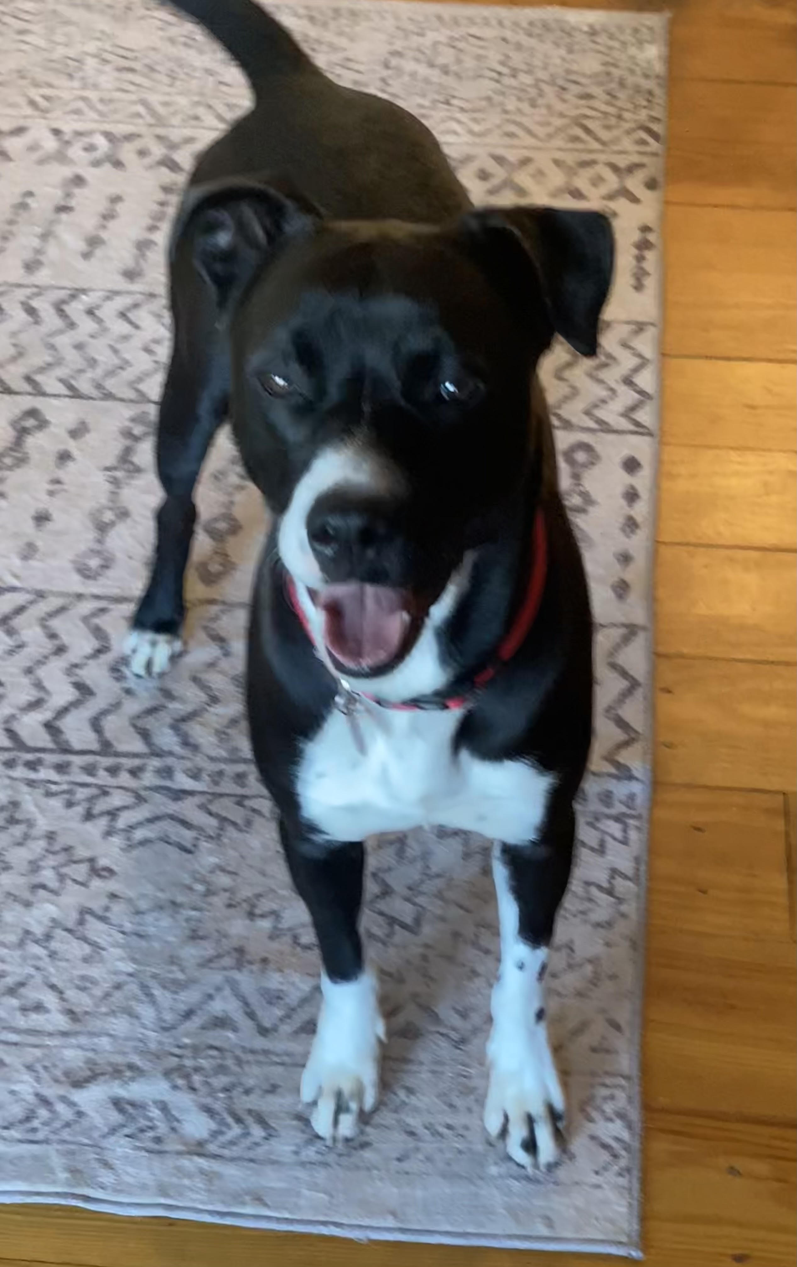 Danny Boy thumbnail 3