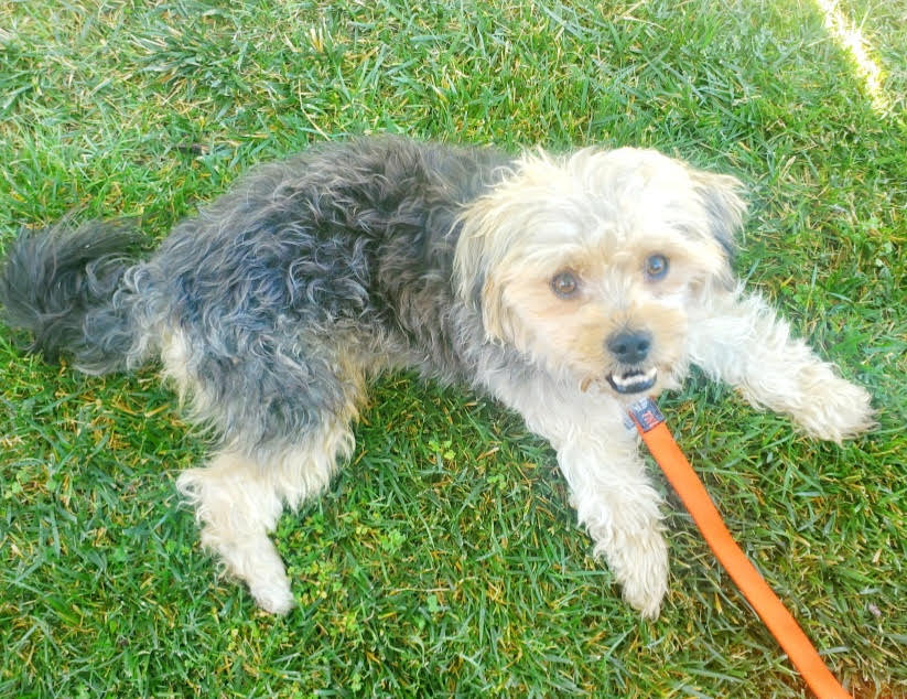 Truman photo 1