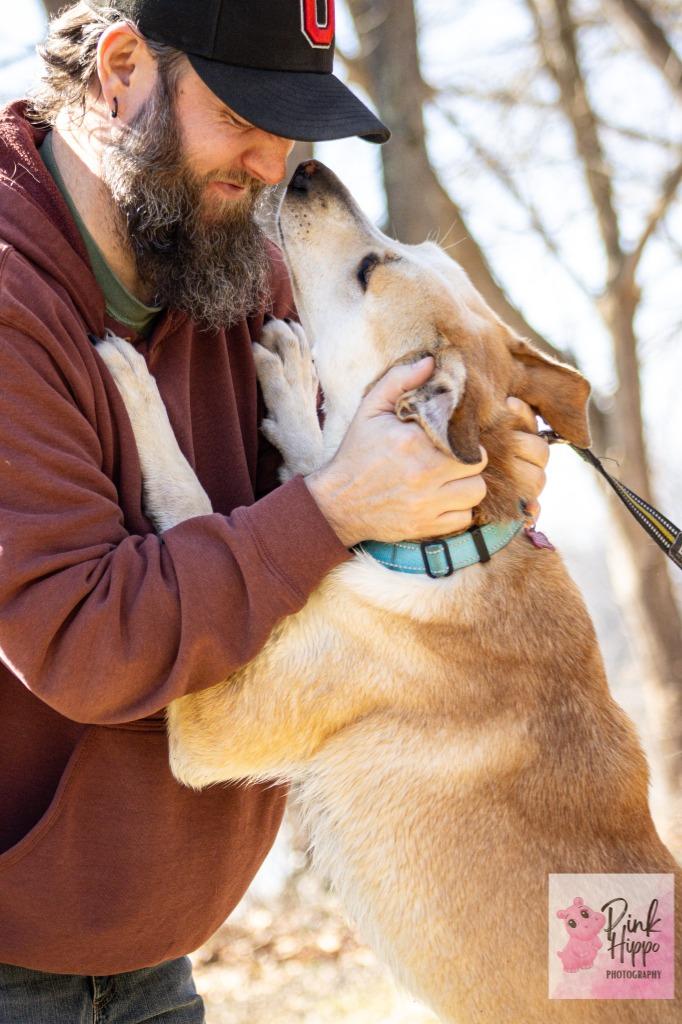 Enlarge Kassie, a Adoptable mixed breed in Kettering, OH image 5/5
