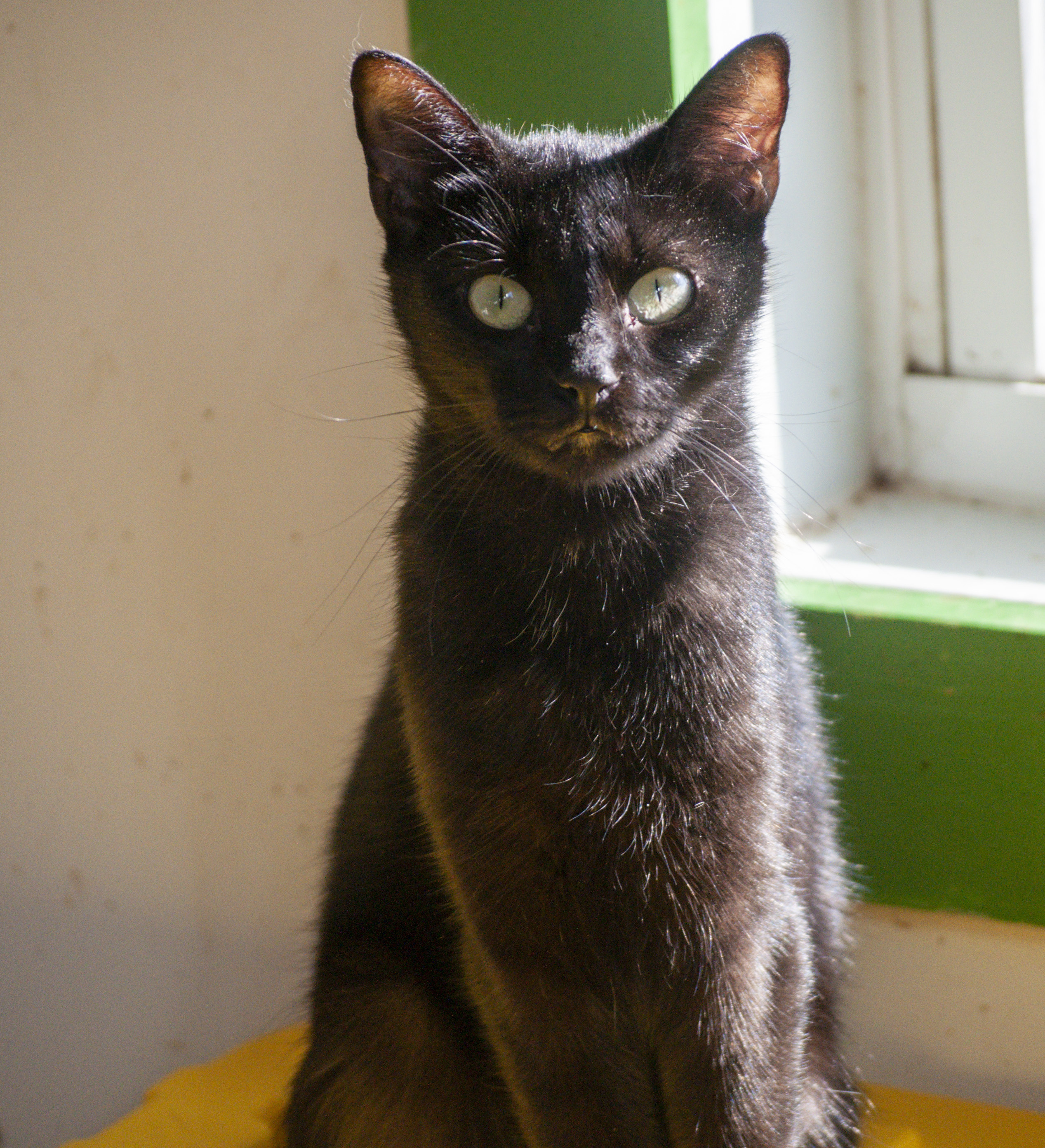 Babette photo 1