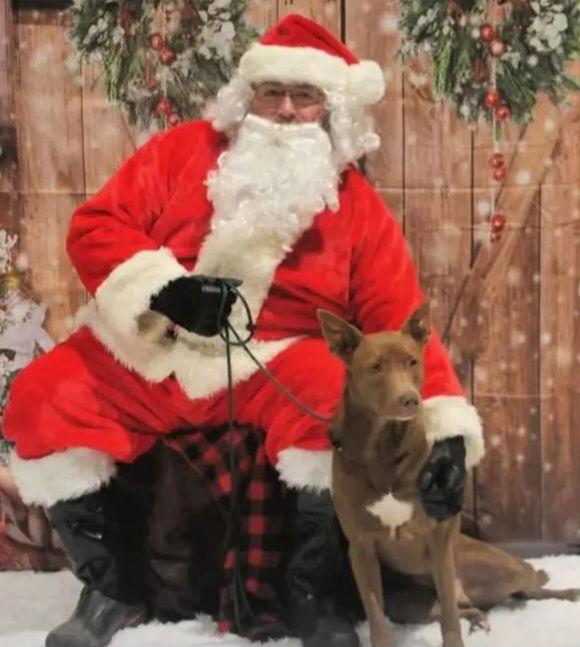 Enlarge Edward, a Adoptable mixed breed in Westminster, MD image 2/3