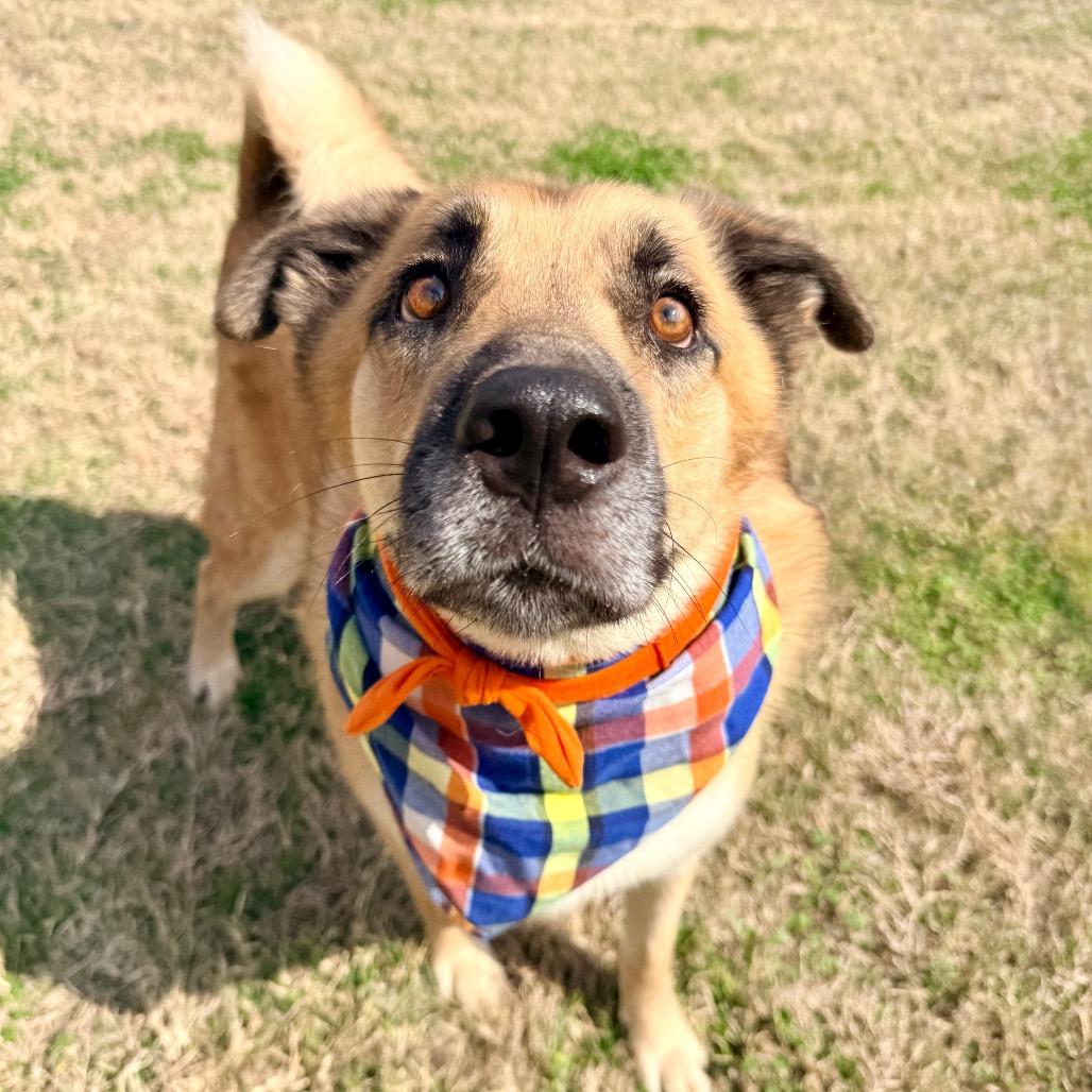 Peanut — thumbnail 5