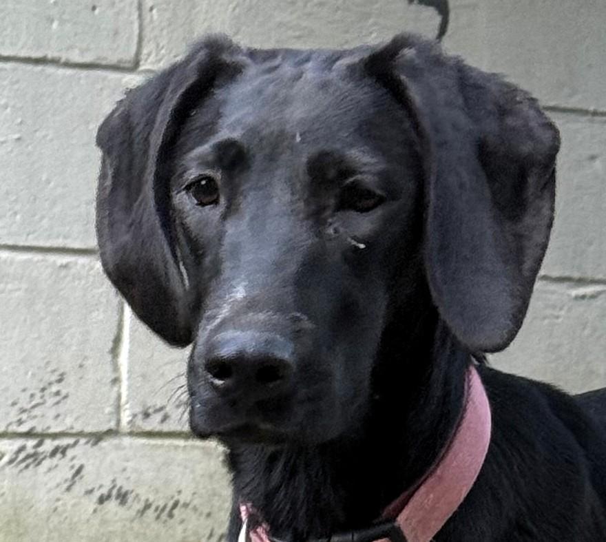 Lucie