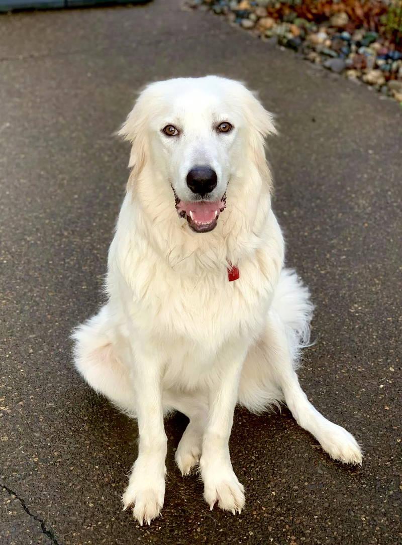 Irene — thumbnail 2