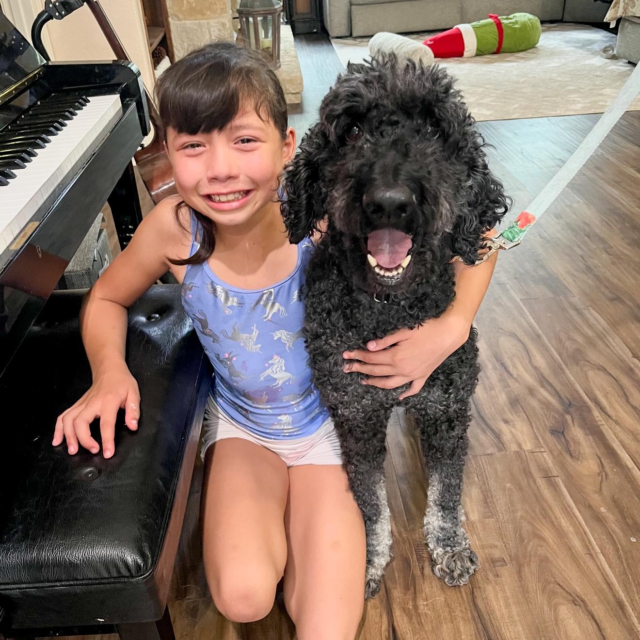 Standard Poodles for Adoption in Poolesville, Maryland | Petfinder