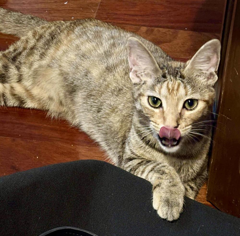 Matilda 1 — thumbnail 3