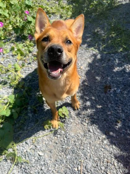 Cruz — thumbnail 2