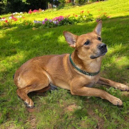 Cruz — thumbnail 3