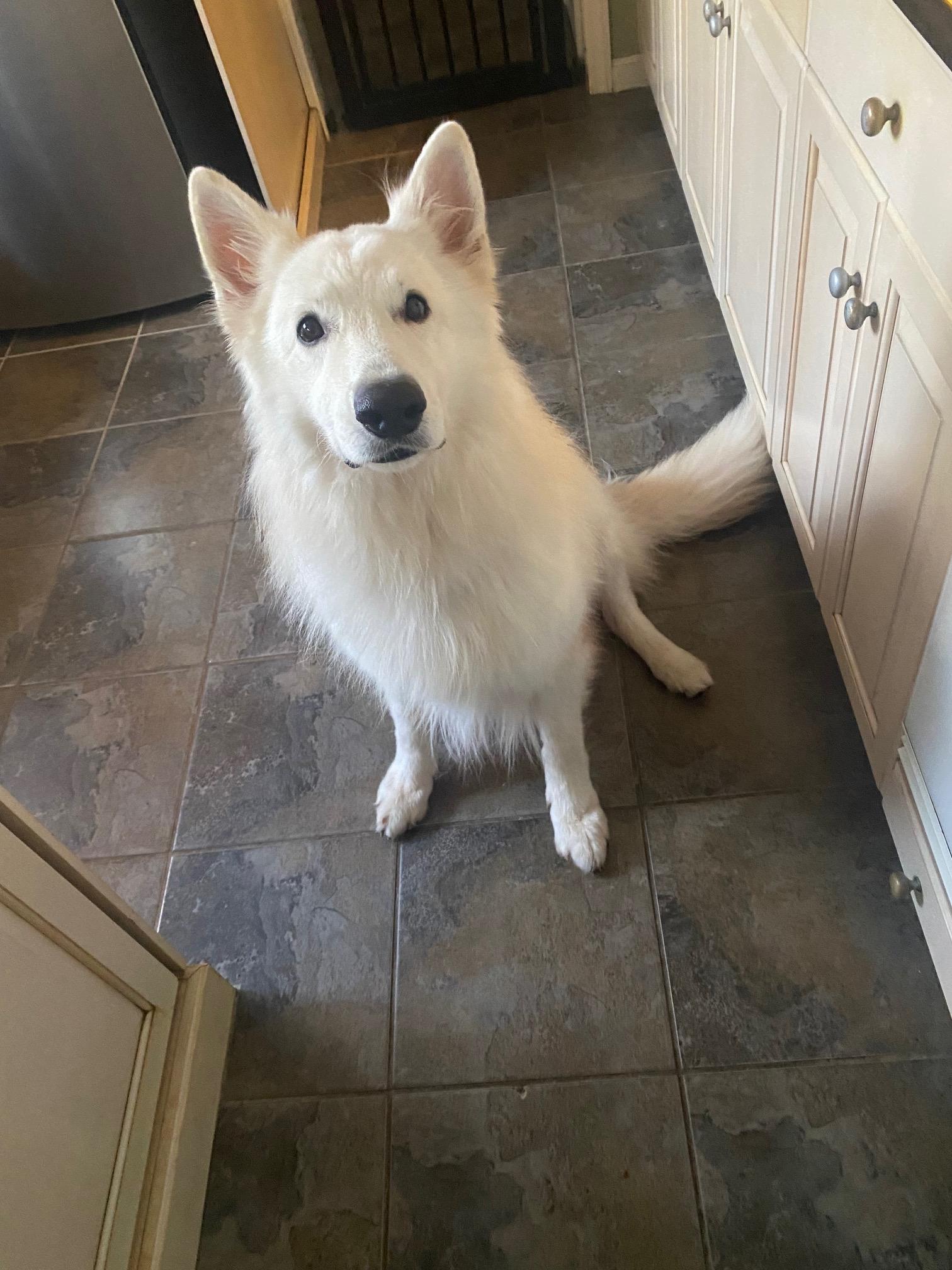 COURTESY POST FOR WASA: EASTON