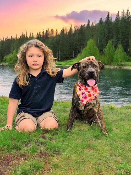 Valor, a Adoptable mixed breed in Winter Springs, FL image 3/6