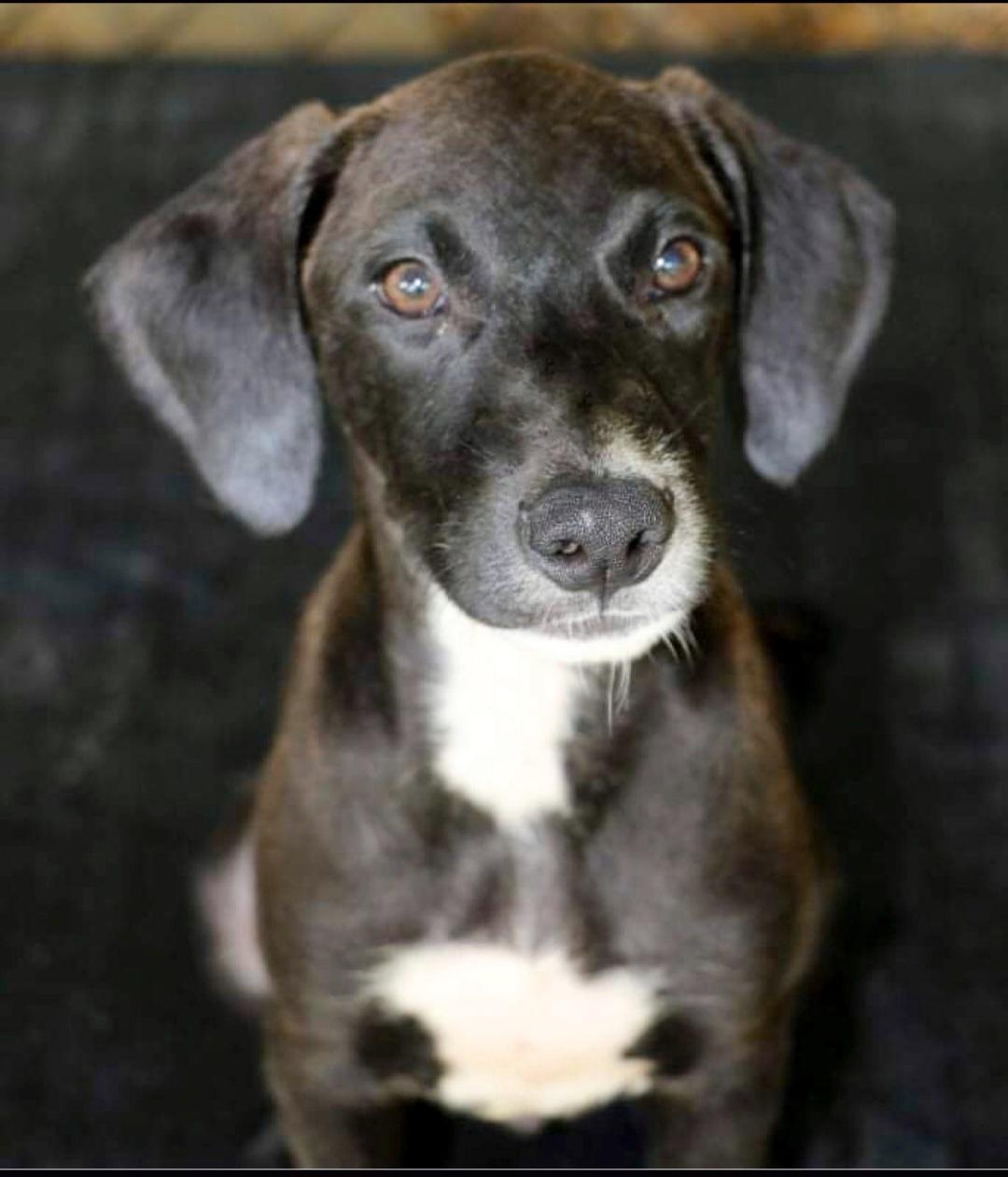 Ben "happygoluckykindofguy!" thumbnail 2