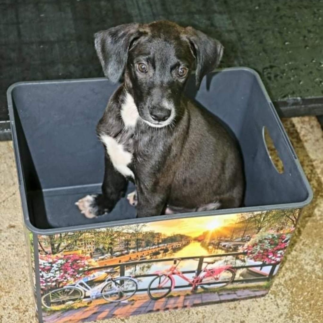 Ben "happygoluckykindofguy!" thumbnail 3