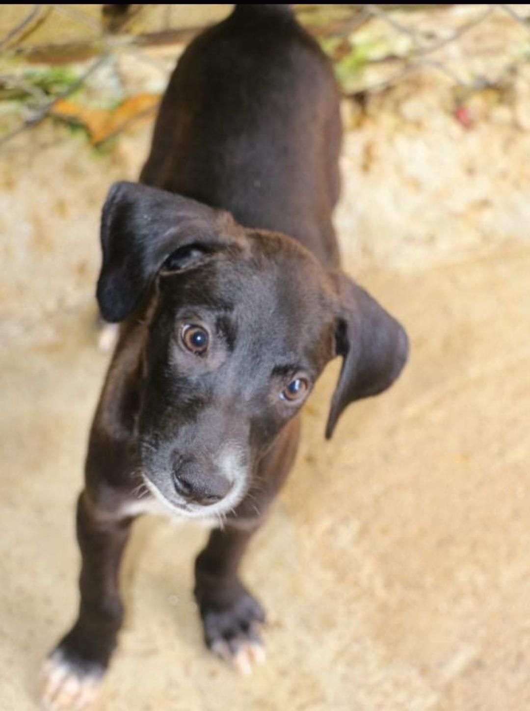 Ben "happygoluckykindofguy!" thumbnail 5