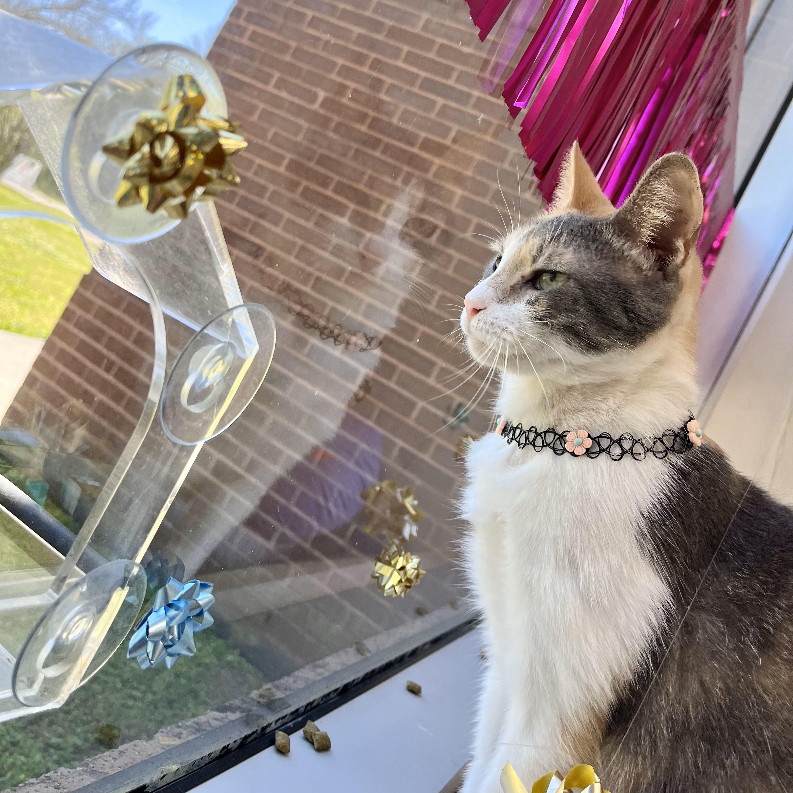 Tsunami — thumbnail 2