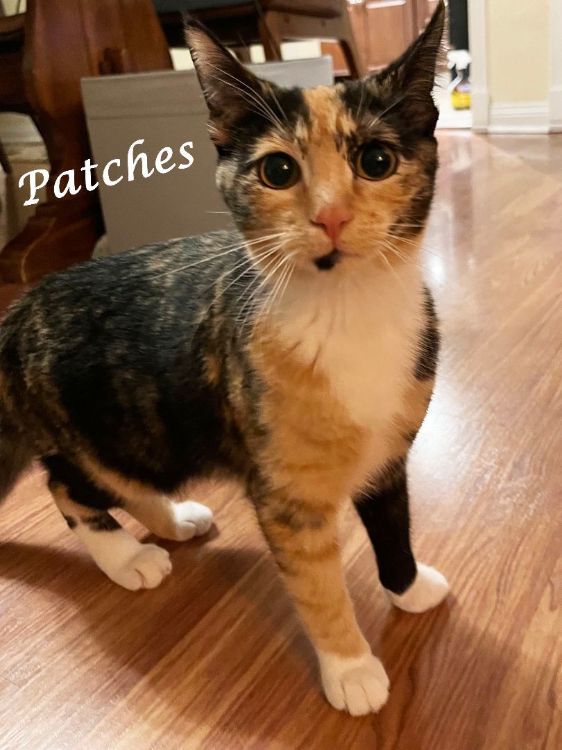 PATCHES 2