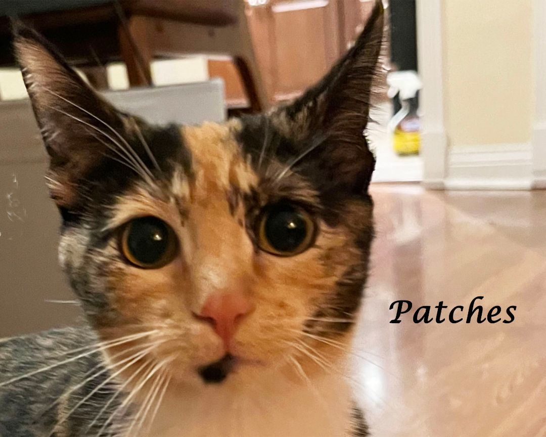PATCHES