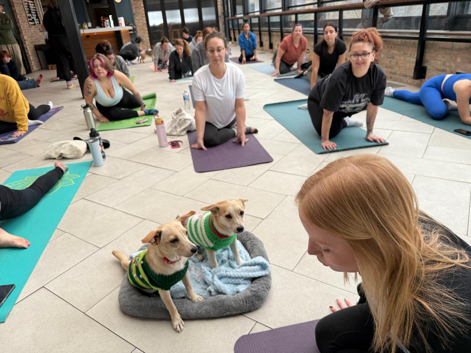 Petty & Minga A thumbnail 2