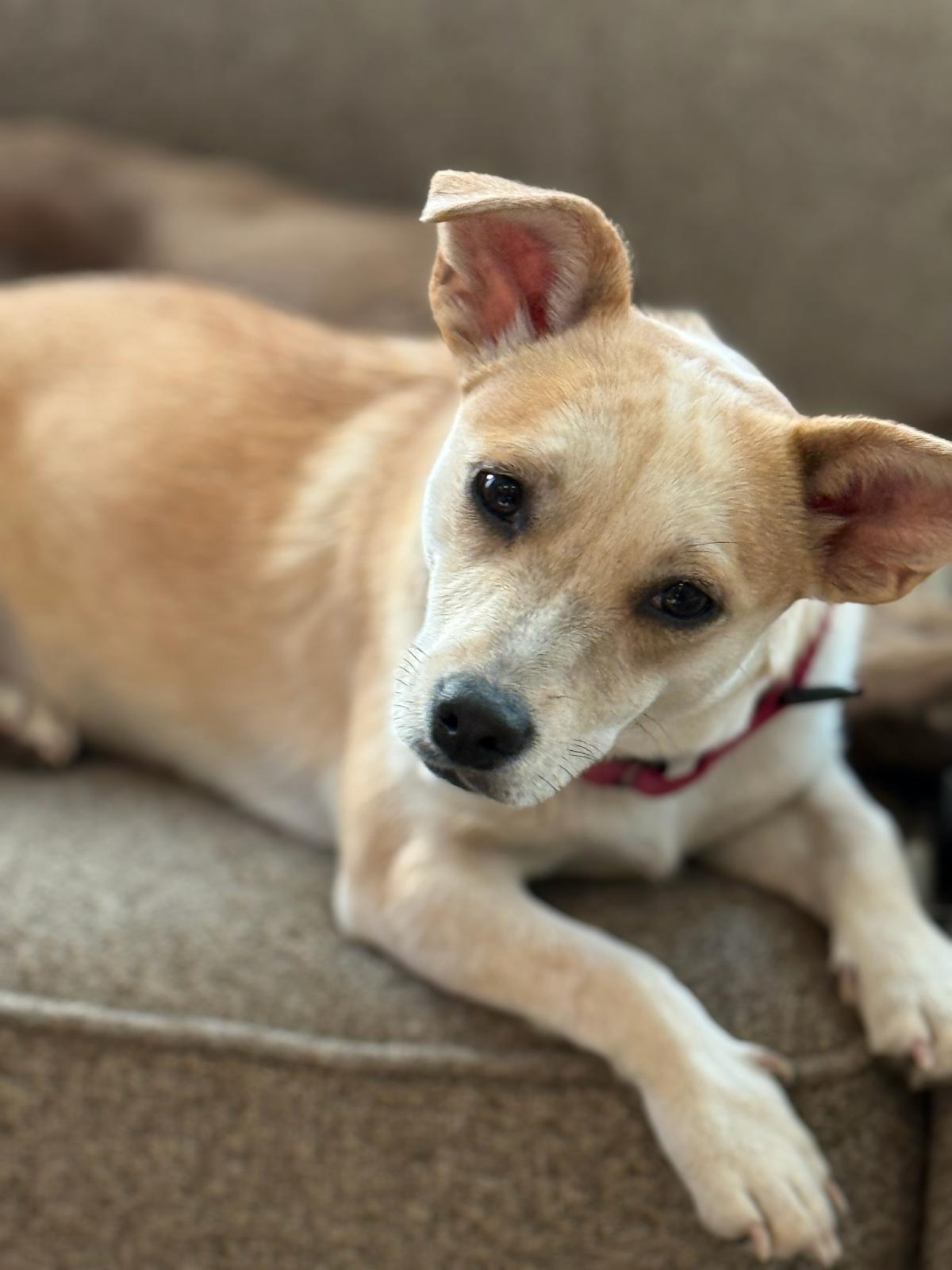 Petty & Minga A thumbnail 3