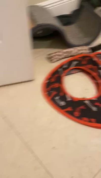 Enlarge Huxley & Kellog, a Adoptable Domestic Short Hair in Miami, FL video 4/6