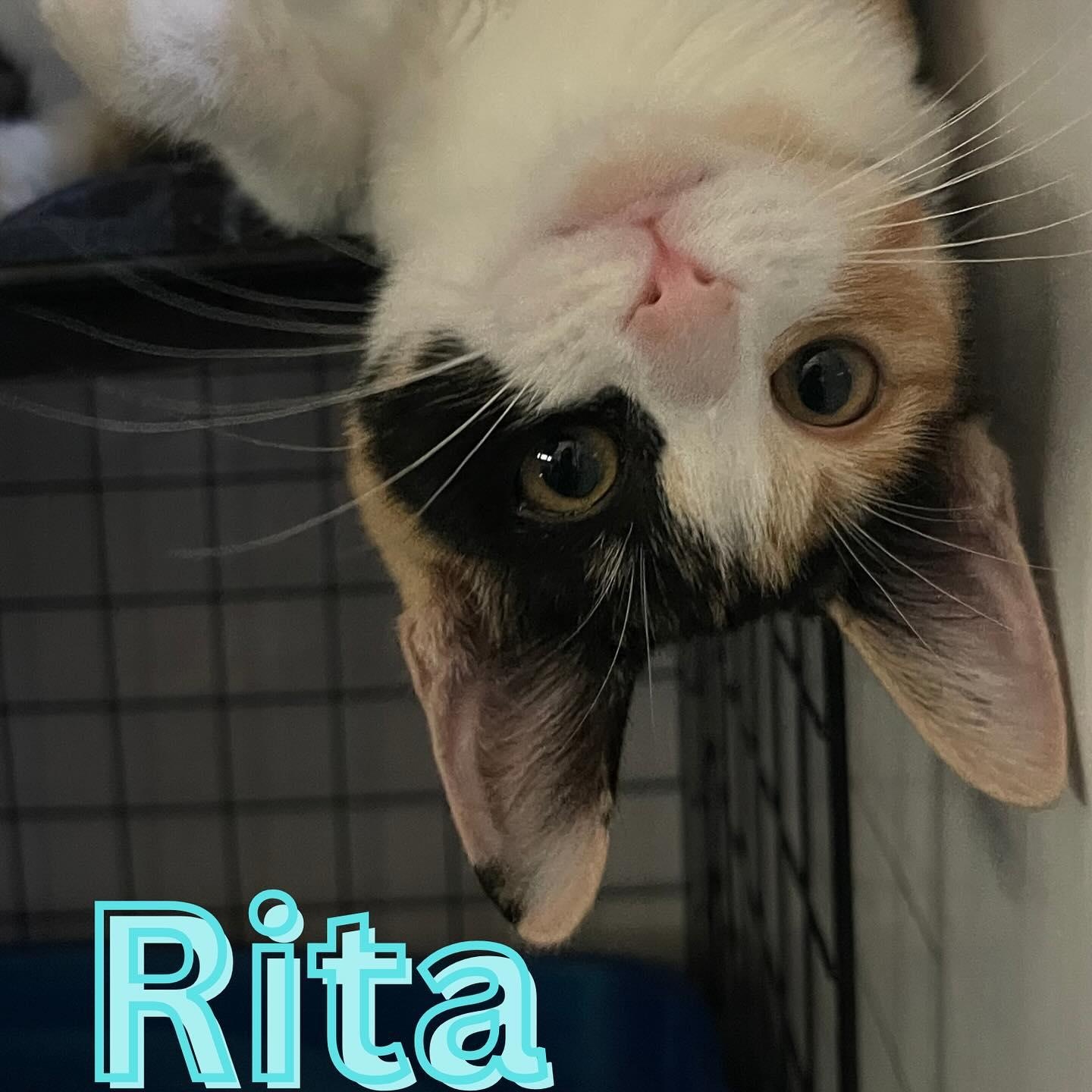 Rita
