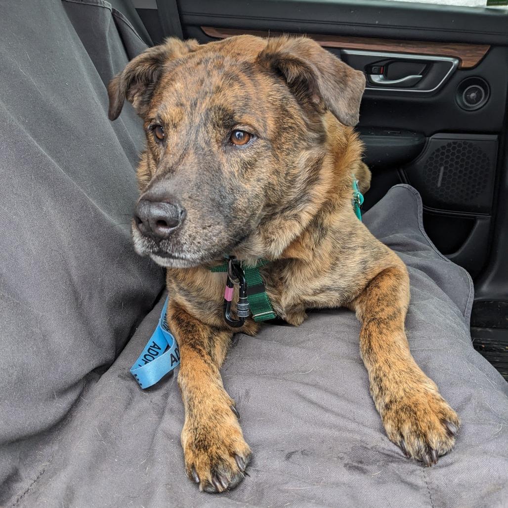 King — thumbnail 2