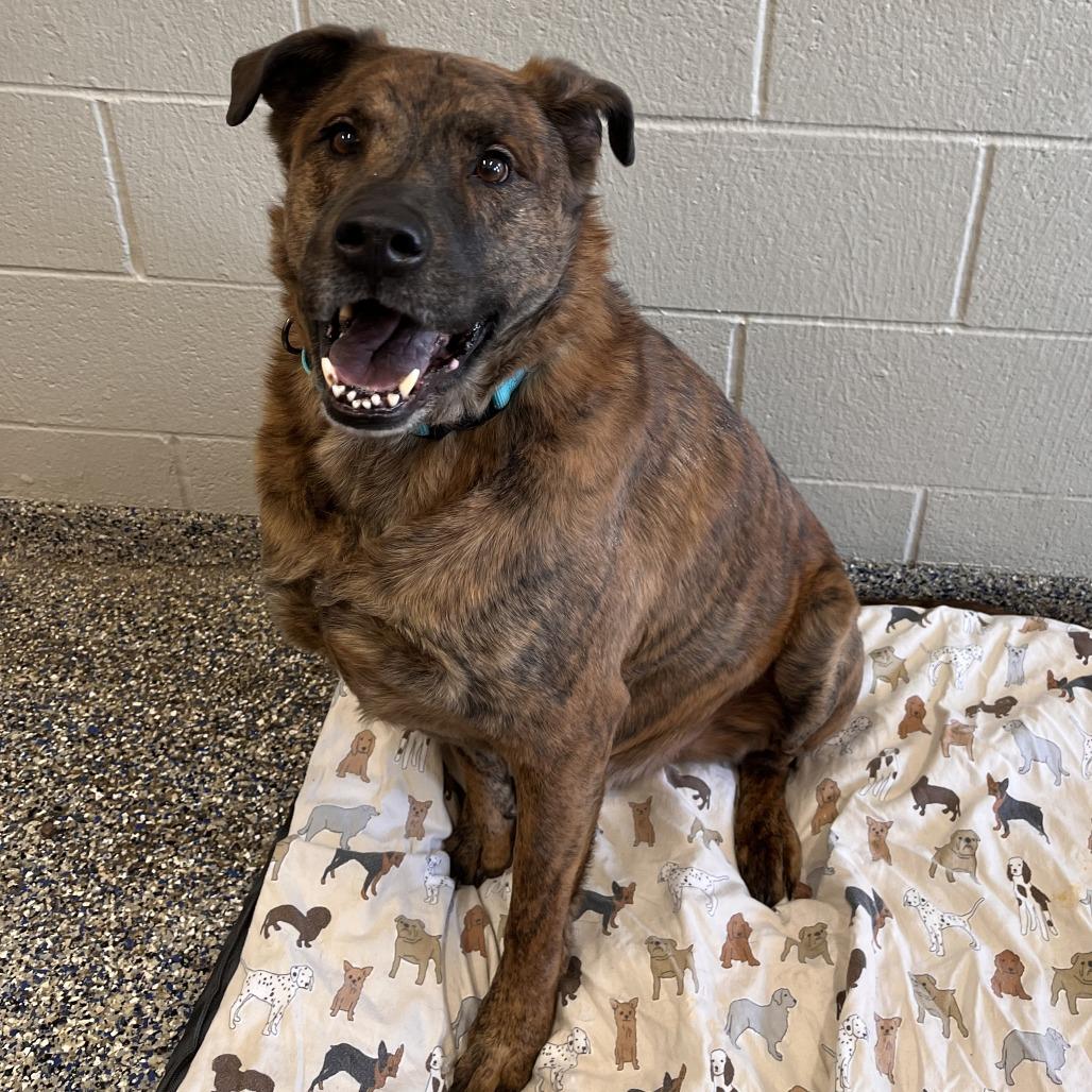 King — thumbnail 5