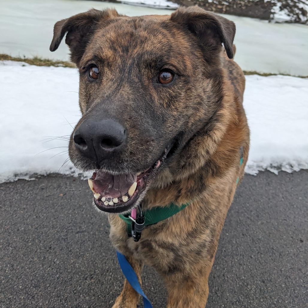 King — thumbnail 6