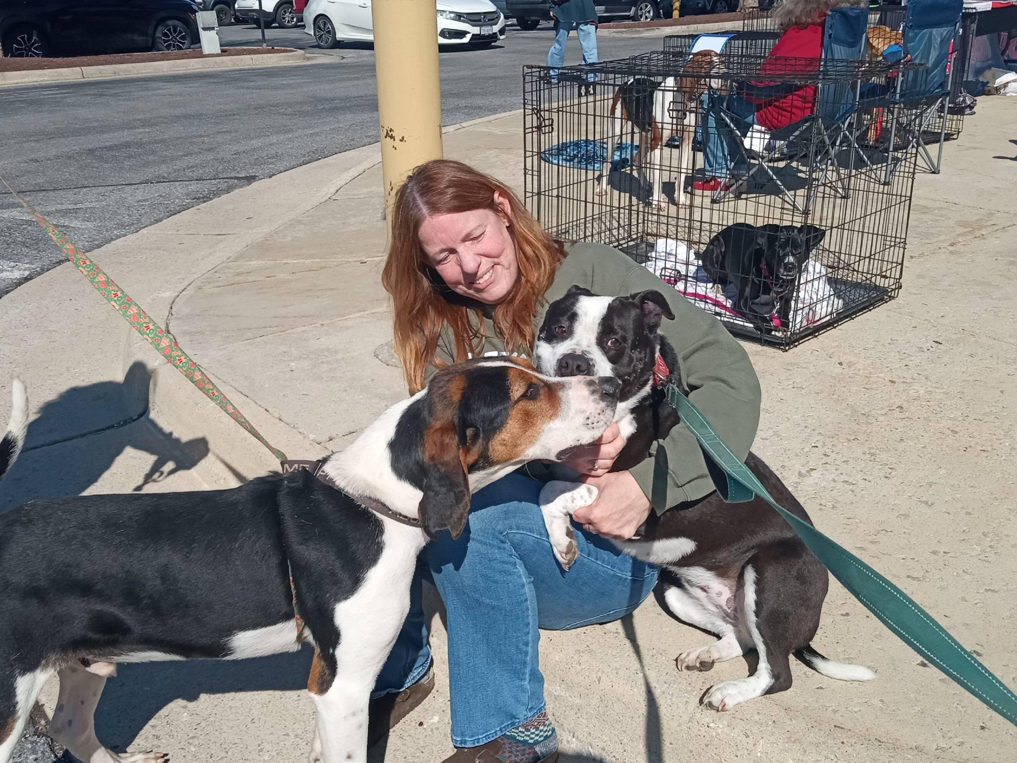 Enlarge Panda, a ADOPTABLE mixed breed in Stuarts Draft, VA image 4/6