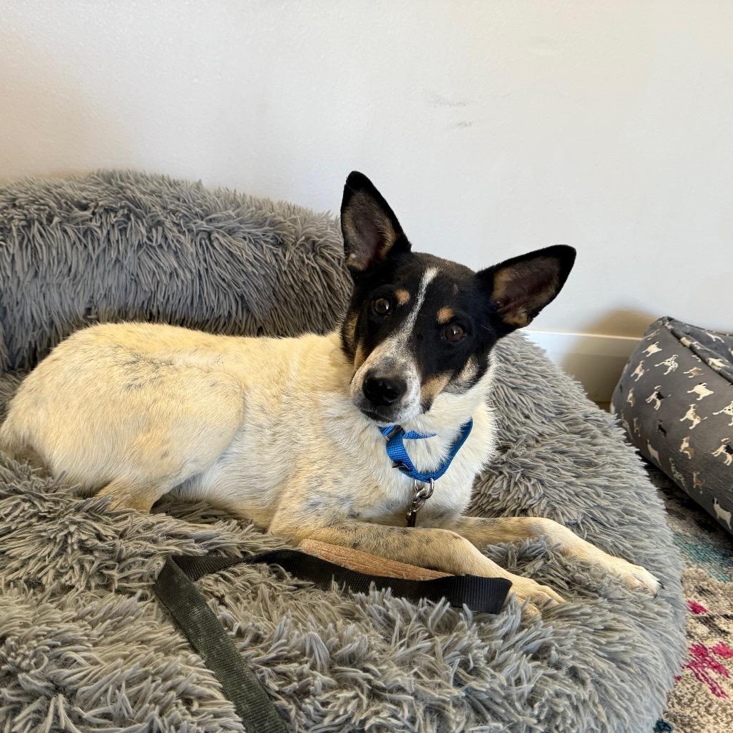 Doug — thumbnail 2