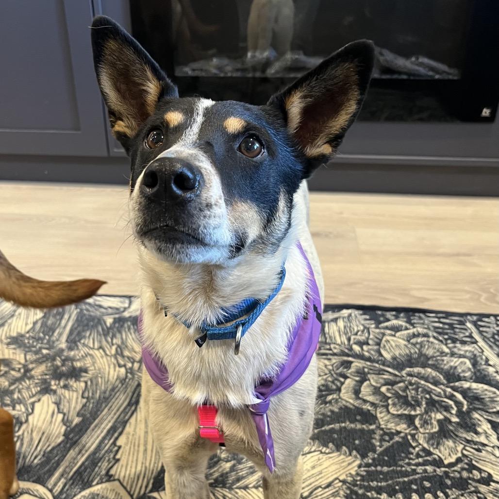 Doug — thumbnail 3