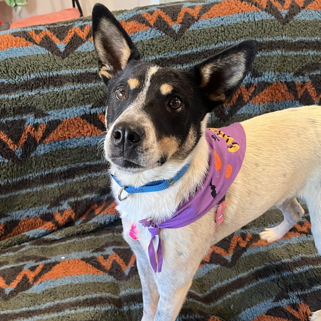 Doug — thumbnail 4