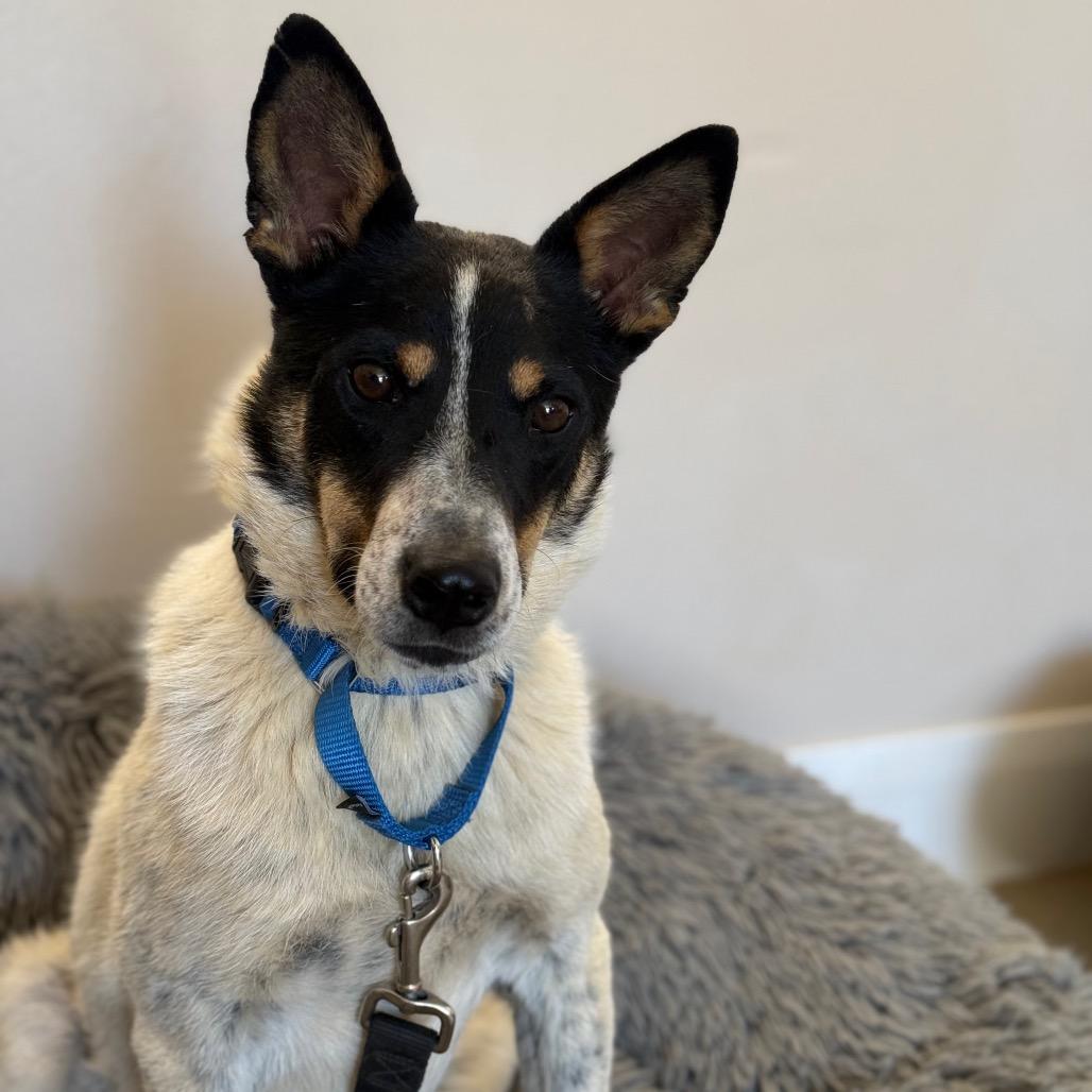 Doug — thumbnail 5