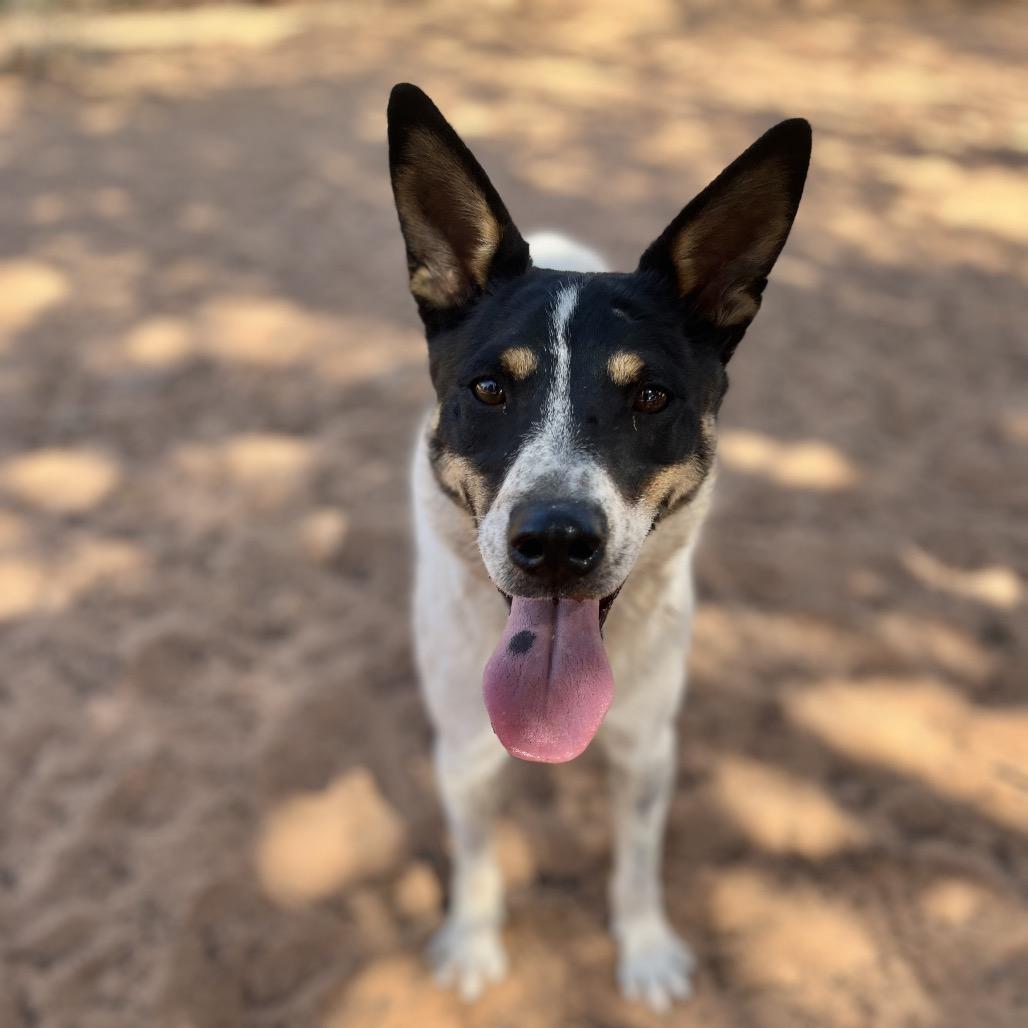 Doug — thumbnail 6