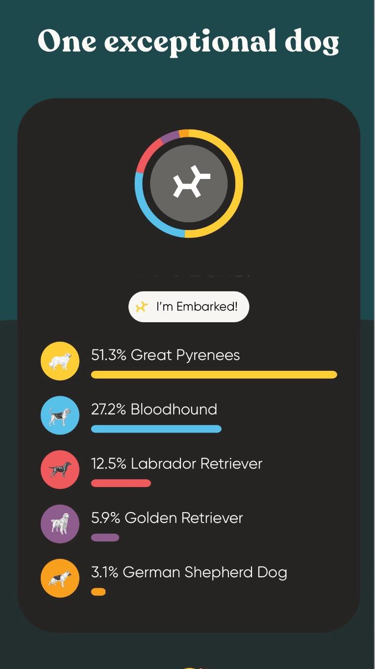Enlarge Baker, a Adopted mixed breed in Pittsburgh, PA image 4/5