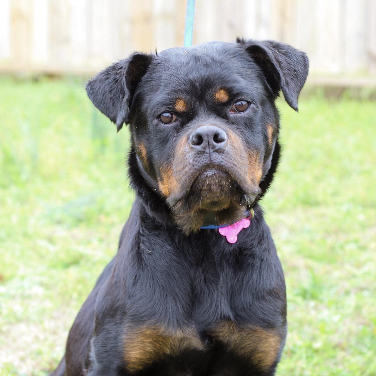 Tide — thumbnail 2