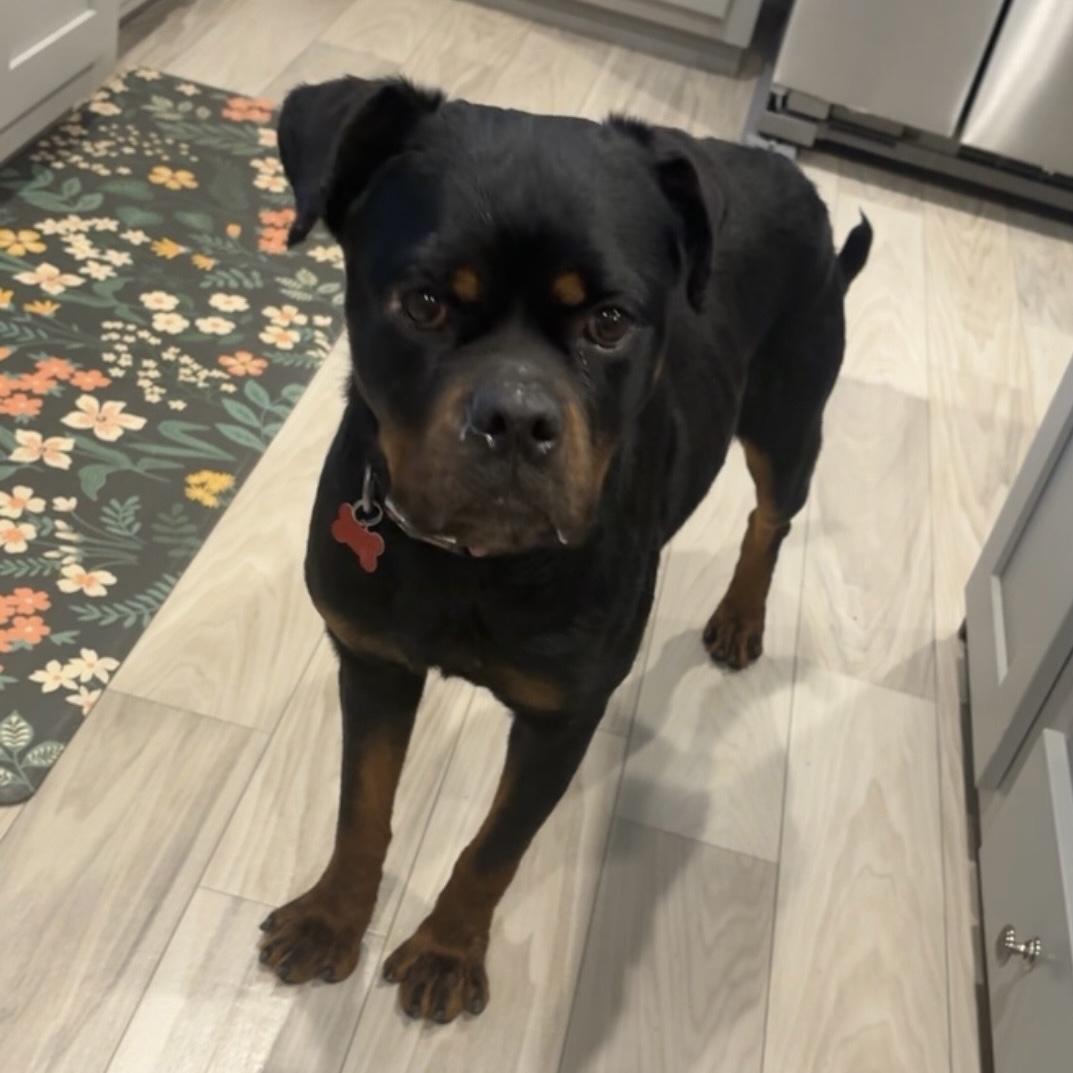 Tide — thumbnail 3