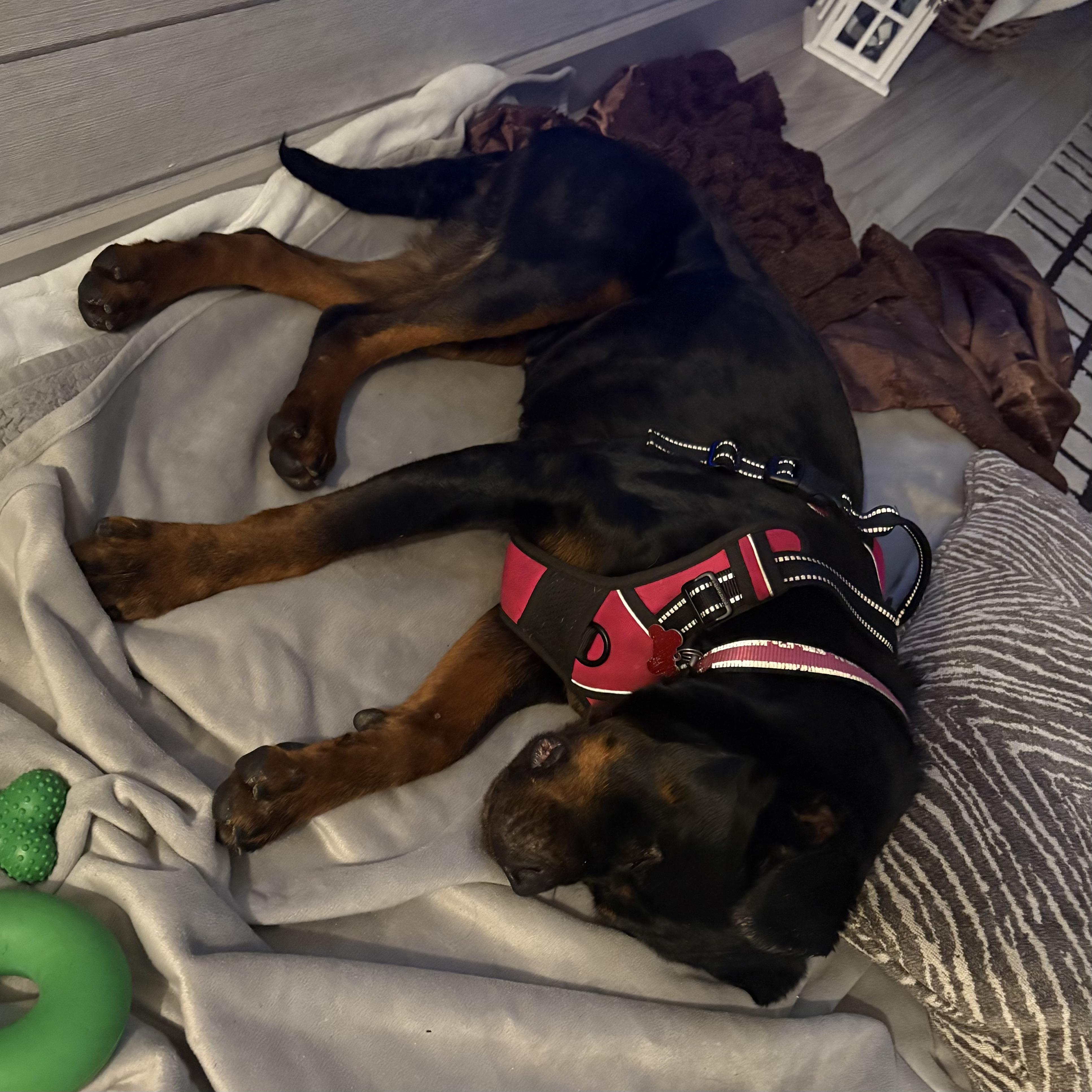 Tide — thumbnail 4