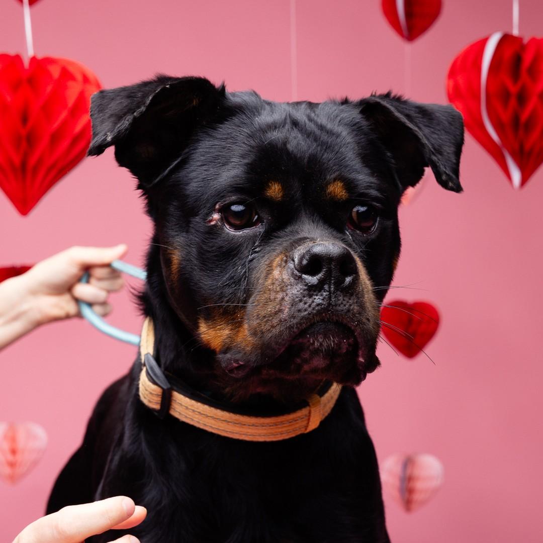 Tide — thumbnail 5