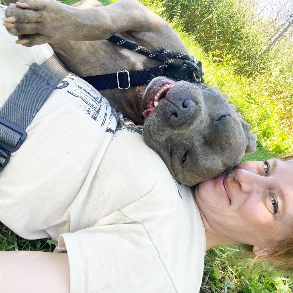 Jocko, a Adoptable Mixed Breed in Oshkosh, WI image 1/6