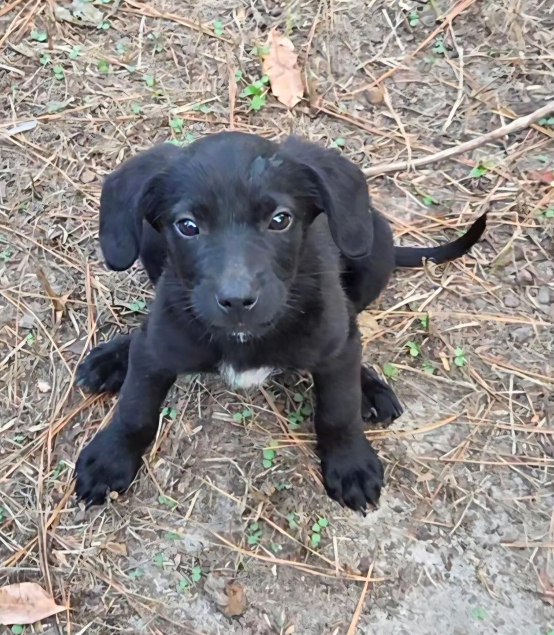 TAKI, Baby Female unknown