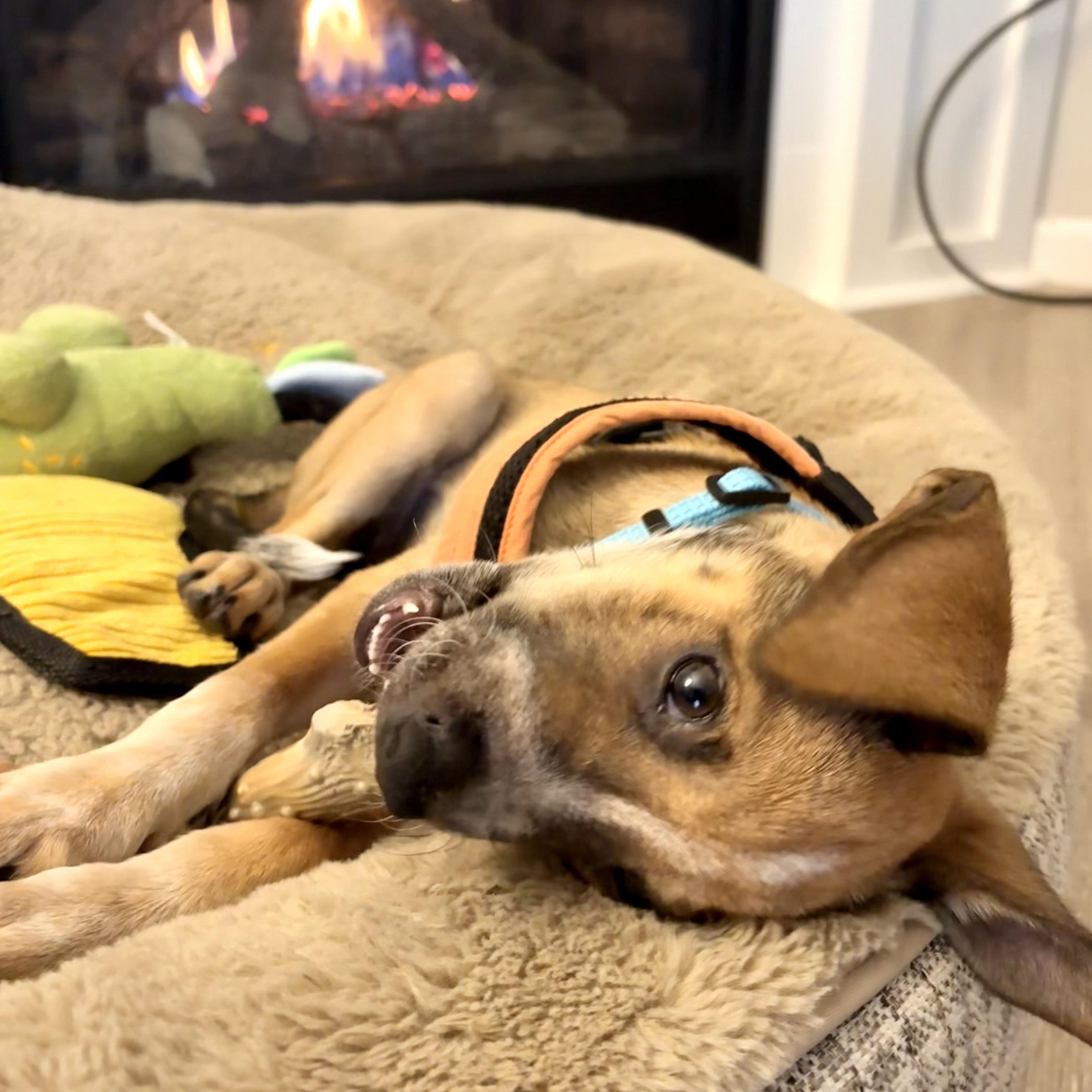 Affogato thumbnail 5