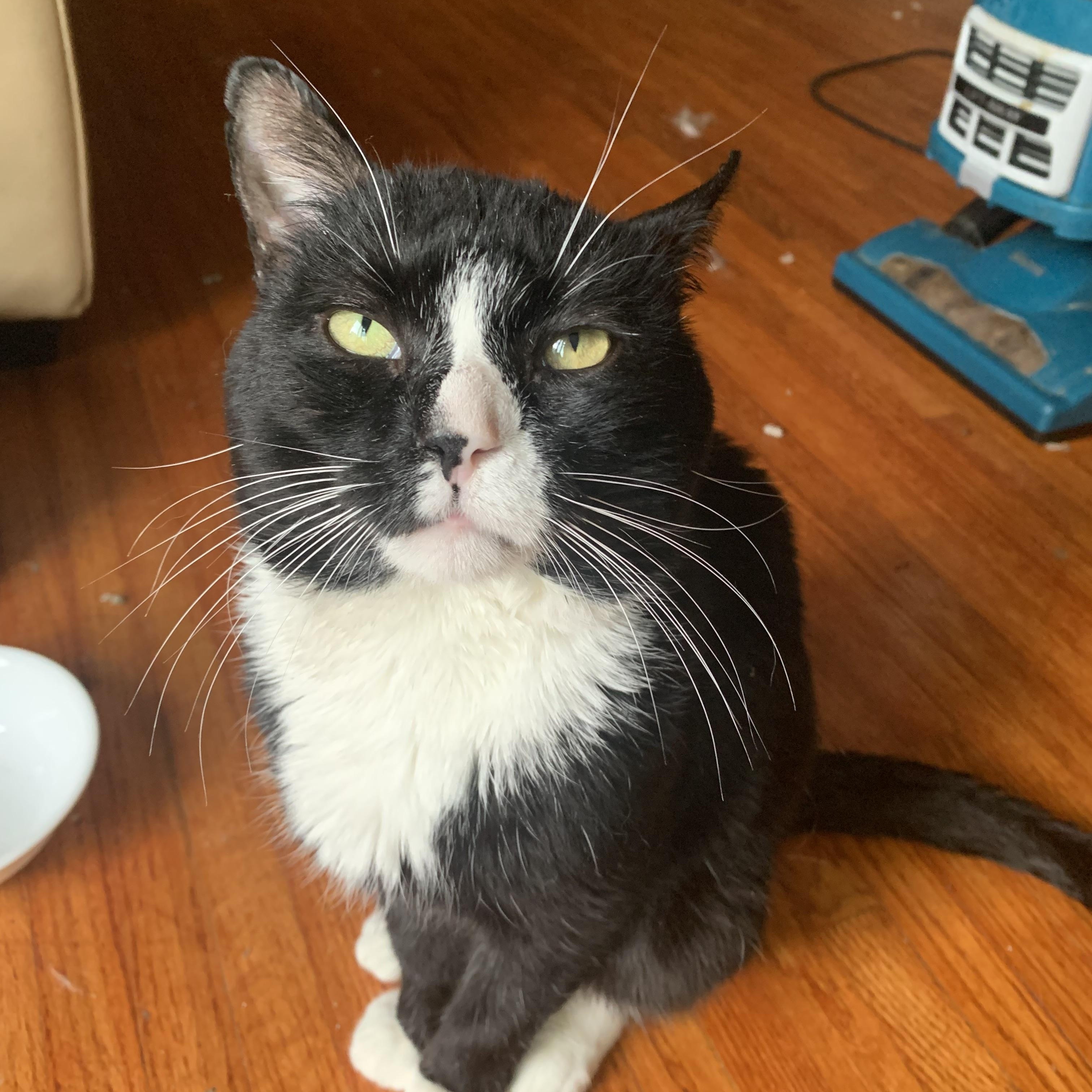 Melo